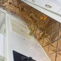 کناف ودکوراسیون منزل صفرتاصد باظمانت کتبی وبامدروز