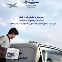 راننده وانت با ماشین در شرکت پست هوایی