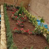 خدمات باغبانی باغچه کاری تعویض خاک گلدون کاشت گل