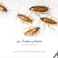 سمپاشی*دون تعطیلی*سم پاشی انواع حشرات تضمینی|خدمات نظافت|اهواز, نادری|دیوار