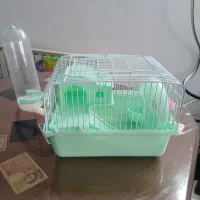 قفس همستر خارجی کم یاب|لوازم جانبی حیوانات|تهران, سازمان برنامه جنوبی|دیوار