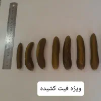 خیار شور نول و ممتاز مزنیک|عمده‌فروشی|تهران, میدان میوه و تره‌بار مرکزی|دیوار