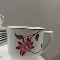 سرویس چایخوری۱۲ نفره چینی توس  درجه یک کاملا نو|ظروف سرو و پذیرایی|تهران, مجیدآباد|دیوار