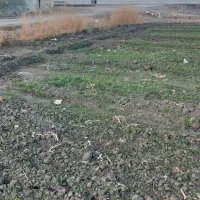 زمین ۵۳۰۰متر شهید کلانتری شش کیلومتری مسیر رفت