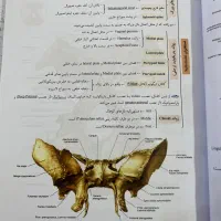 کتاب های پروگنوز دندان۱۴۰۴