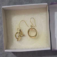 گوشواره ۲گرم ۴۰۰سوت به قیمت تابلو