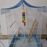 قفس پرنده
