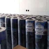 ایزوگام داتیس نقره ای دلیجان