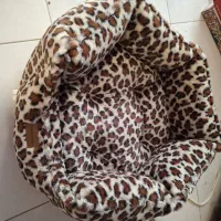جا خواب گربه استفاده نشده قطر ۵۵