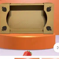 کارتن نو تمام وسایل و میوه جات