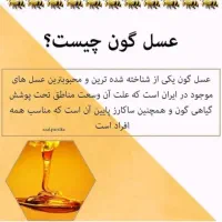 عسل صددرصد طبیعی