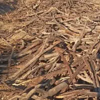 هرس درختان و برش