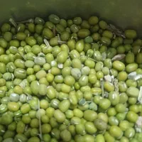 ماش هندی درجه یک