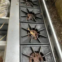 شعله گاز ۴ تایی، صنعتی رستورانی در حد نو