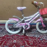 دوچرخه