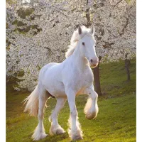 اسباب بازی رایگان