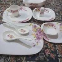 سرویس غذا خوری آرکوپال نونو