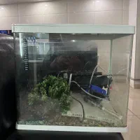 اکواریوم|ماهی|مرند, |دیوار