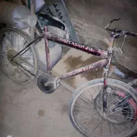 دوچرخه سالم ۱۶و ۲۶