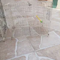 قفس پرنده|لوازم جانبی حیوانات|برازجان, |دیوار