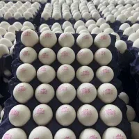 تخم مرغ روز پخش سیار فروش