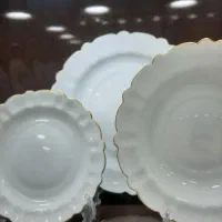 سرویس بشقاب و پذیرایی آرکوپال|ظروف سرو و پذیرایی|تهران, شوش|دیوار