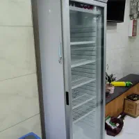 یخچال و فر ساندویچ و فر پیتزا|کافیشاپ و رستوران|تهران, استاد معین|دیوار