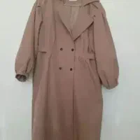 پالتووبارونی