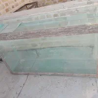 آکواریوم|ماهی|بوئین زهرا, |دیوار