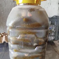 خیارشور درجه یک