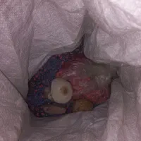 شن اکواریوم وسنگ برای تراریوم