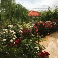 باغ-ویلا-فروشی