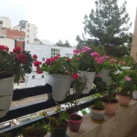 اجاره خانه حیاط دار طبقه اول۱۴۰متری