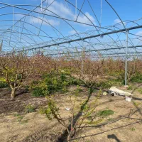 جذب نیروی کار