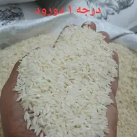برنج/برنج محلی/دورود