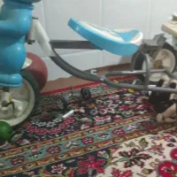 سه چرخه سالم درحد نو