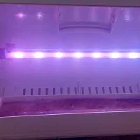 آکواریوم شیشه خم شرکتی|ماهی|لنجان, |دیوار