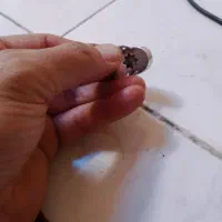 انکشتر اصل فیروزه