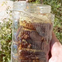 فروش عمده عسل موم و شهد سراب|خوردنی و آشامیدنی|هشتگرد, شهرک دانش|دیوار