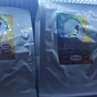 سرلاک کفتر ،کلسیم فورت،روغن انرژی پلاس|لوازم جانبی حیوانات|رامشیر, |دیوار