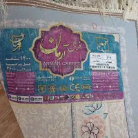 فرش|فرش|گنبد کاووس, |دیوار