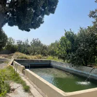 ۱۰۰۰ متر باغ بنا قدیمی کلنگی در شهریار میدان نماز|فروش خانه و ویلا|شهریار, رزکان|دیوار
