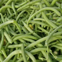 خیار. کدو . لوبیا سبز