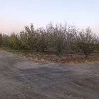 باغ دوبر در کوی پزشکان روستای کردلر (خسروشاه)|فروش زمین و ملک کلنگی|خسروشاه, |دیوار