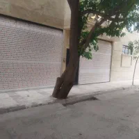 زیباترین-واحد-وکالتی-مجد-145-متر