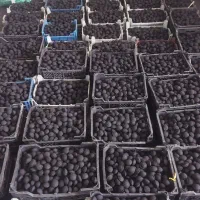 استخدام تولید ذغال خان اذربایجان|استخدام صنعتی، فنی، مهندسی|خوی, |دیوار