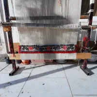 دار قالی فرش|فرش|قائم‌شهر, |دیوار