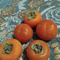 خرمالوی‌عسل‌‌الموت