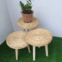 استند گل و گیاه