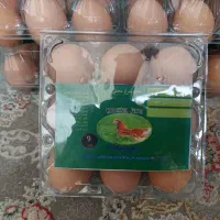 تخم مرغ ارگانیک (لاله زار)|خوردنی و آشامیدنی|کرمان, |دیوار